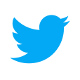Twitter Design Logo